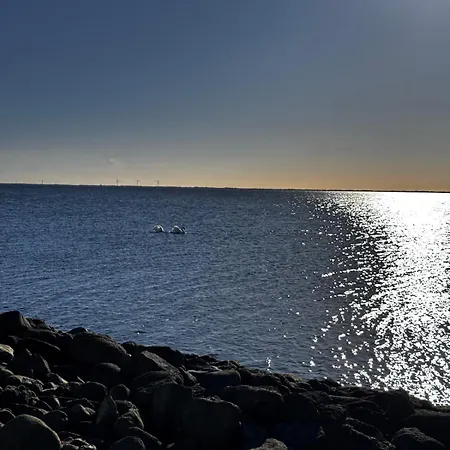 Hyggeligt Hus Ved Fjord Og By * Ringkøbing